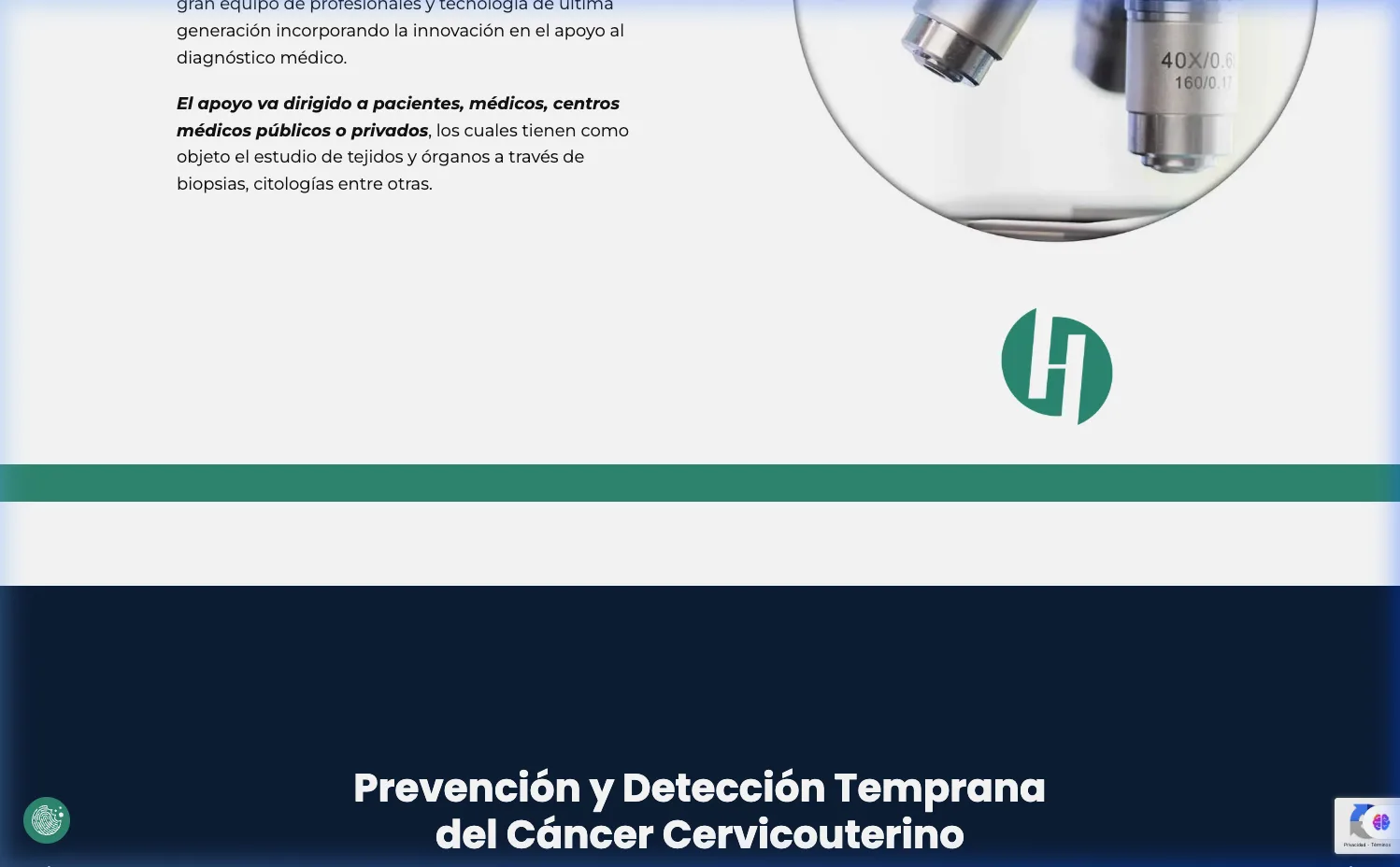 HistoCell — Servicios