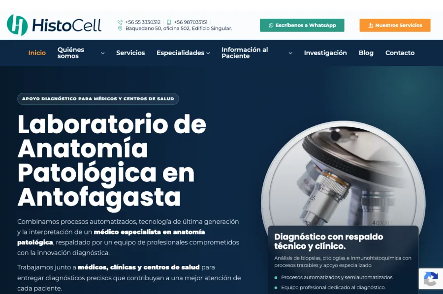 Sitio web laboratorio de anatomía patológica
